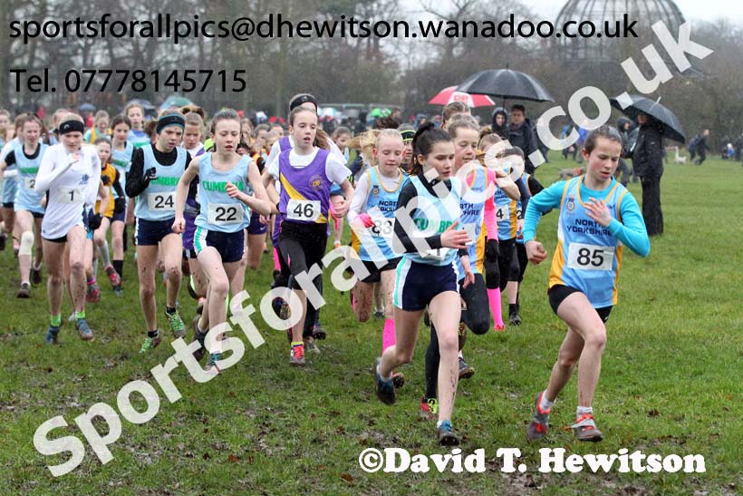 Minor girls Northern Inter Counties Schools Cross Country, Stockton. Photo: David T. Hewitson/Sports for All Pics